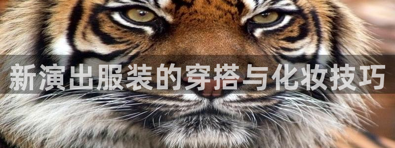 乐发邀请码平台是什么