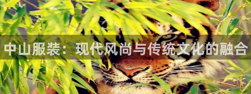 乐发国际 皇恩a平台