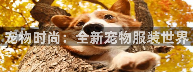 乐发是大平台吗