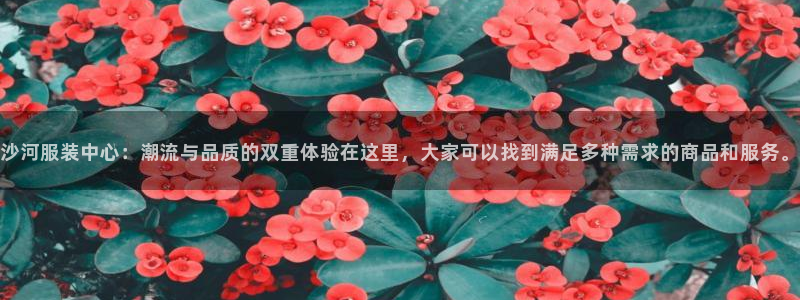 乐发平台网址是多少