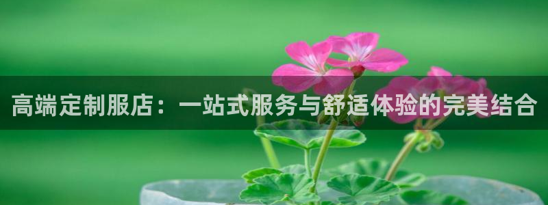 乐发传媒是什么平台