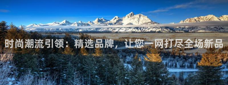 乐发平台下载官网