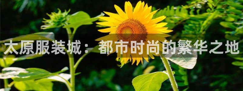 乐发稳平台邀请码