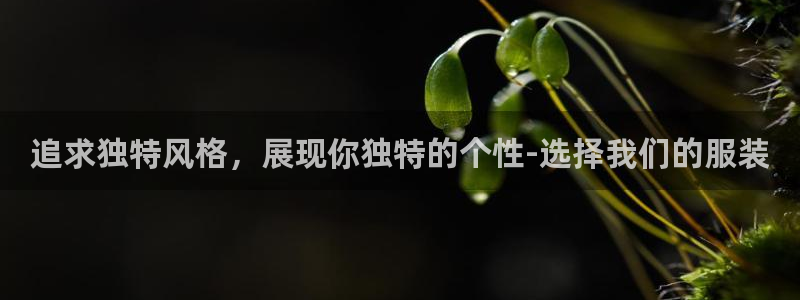 乐发平台为什么打不开了