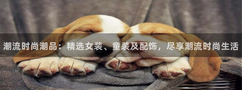 乐发vl彩票平台合法