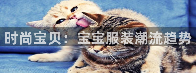乐发app下载平台官网