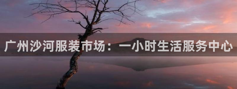 乐发viii平台 首页