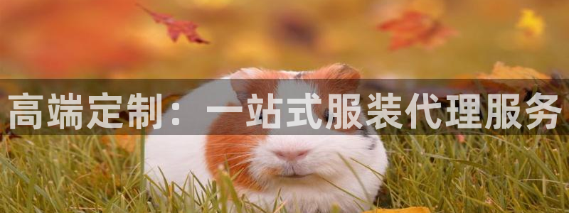 乐发彩票最新平台下载