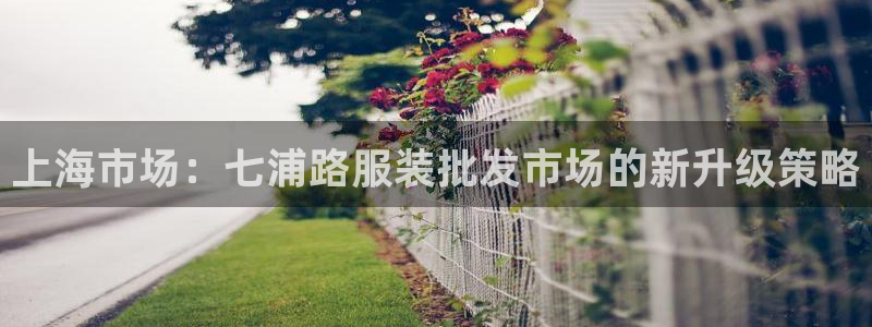 乐发大小单双平台