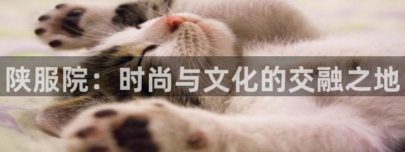 乐发iii平台优点