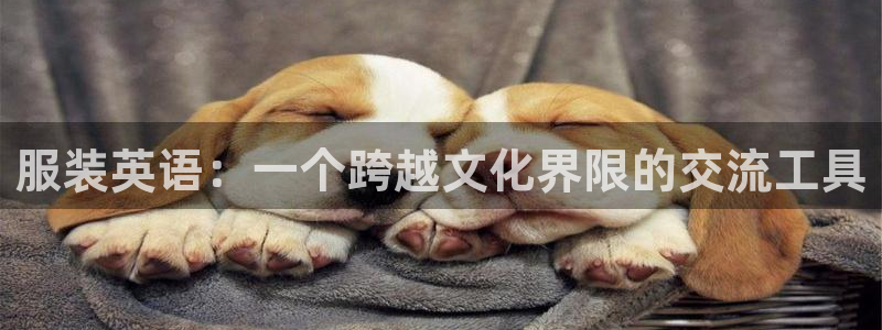 乐发平台出来的时间