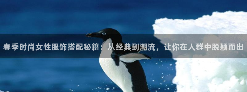 乐发平台邀请码合集