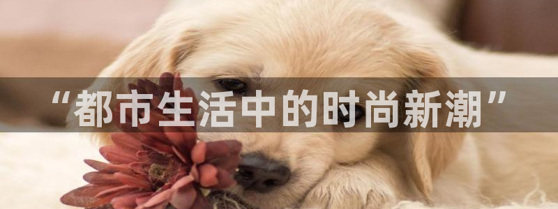 乐发体育平台怎么样