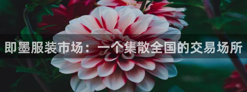 乐豪发真人平台
