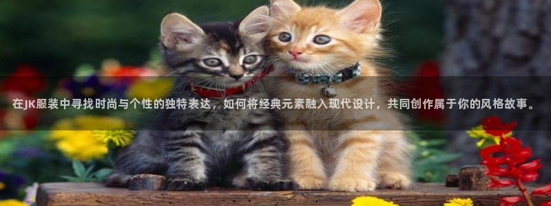 乐发传媒是什么平台