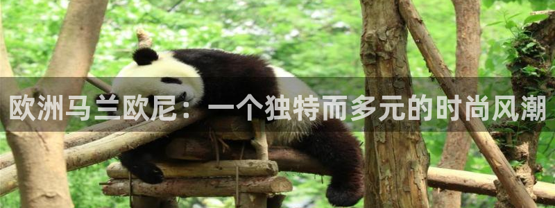 乐千发卡平台