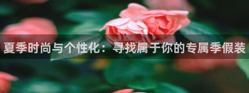 乐发大小平台