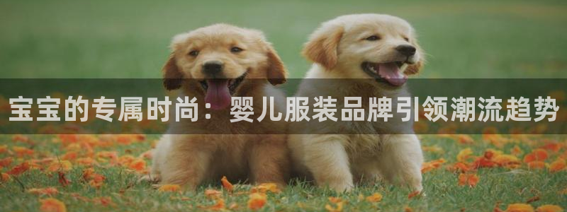 乐发彩票平台可信不：宝宝的专属时尚：婴儿
