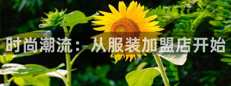 乐发体育平台怎么注册的