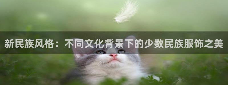 乐发大小单双平台