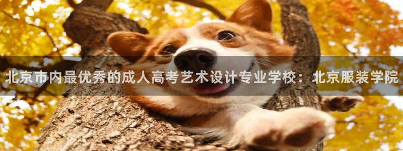 乐发彩票平台是真的吗