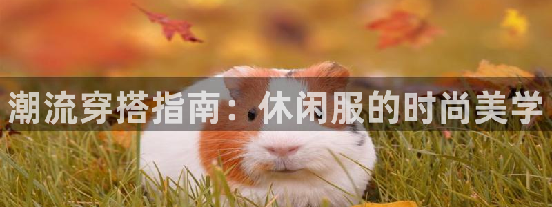 乐购平台发口罩