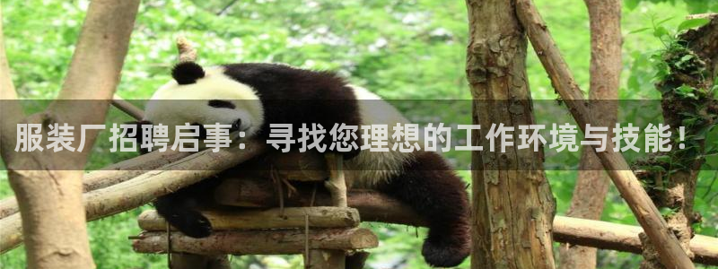 乐发体育平台怎么注册的