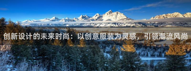 宾果彩票平台乐发