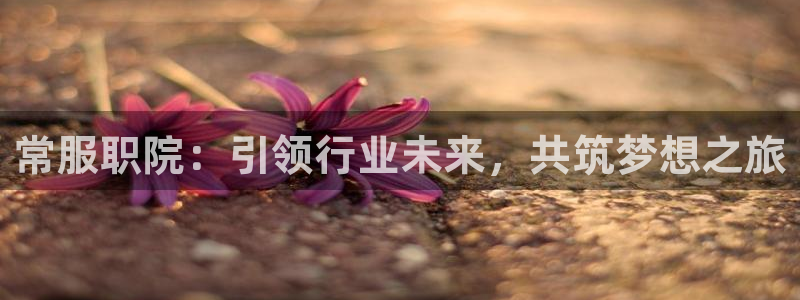 乐发彩票平台网址