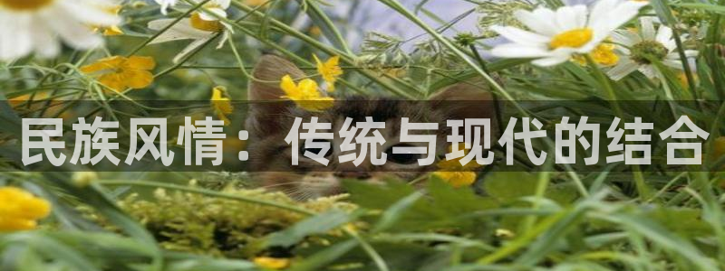 乐发平台赚钱技巧