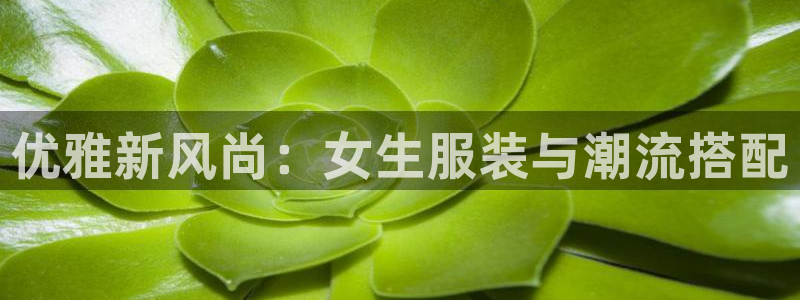 乐发彩票平台入口