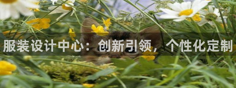 lhf乐豪发娱乐平台