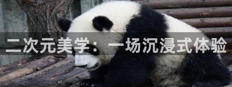 乐发app下载平台官网