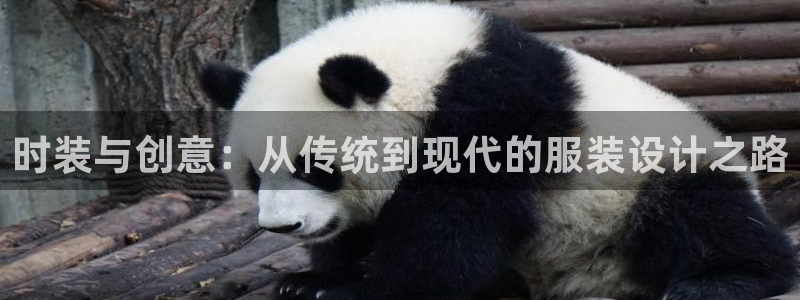 乐发平台注册流程图片