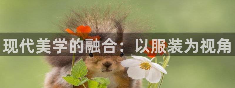 久乐发广告任务平台