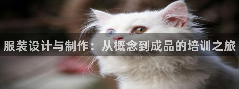 兼职乐系列发圈平台